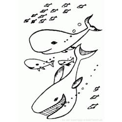 ぬりえページ: 鯨 (動物) #960 - 無料の印刷可能なぬりえページ