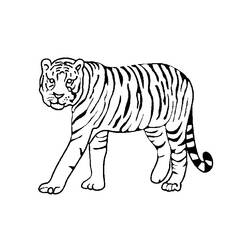 ぬりえページ: 野生/ジャングルの動物 (動物) #21092 - 無料の印刷可能なぬりえページ
