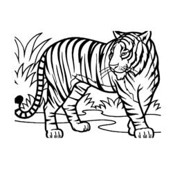 ぬりえ: 野生/ジャングルの動物 - 無料の印刷可能なぬりえページ