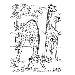 ぬりえページ: 野生/ジャングルの動物 (動物) #21144 - 無料の印刷可能なぬりえページ