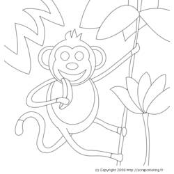 ぬりえページ: 野生/ジャングルの動物 (動物) #21230 - 無料の印刷可能なぬりえページ
