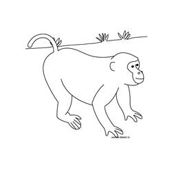 ぬりえページ: 野生/ジャングルの動物 (動物) #21359 - 無料の印刷可能なぬりえページ
