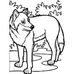 ぬりえページ: 狼 (動物) #10448 - 無料の印刷可能なぬりえページ