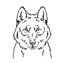 ぬりえページ: 狼 (動物) #10450 - 無料の印刷可能なぬりえページ