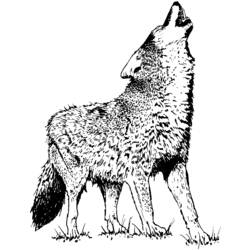 ぬりえページ: 狼 (動物) #10483 - 無料の印刷可能なぬりえページ