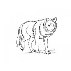 ぬりえページ: 狼 (動物) #10501 - 無料の印刷可能なぬりえページ