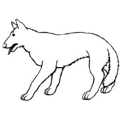 ぬりえページ: 狼 (動物) #10505 - 無料の印刷可能なぬりえページ