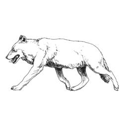 ぬりえページ: 狼 (動物) #10530 - 無料の印刷可能なぬりえページ