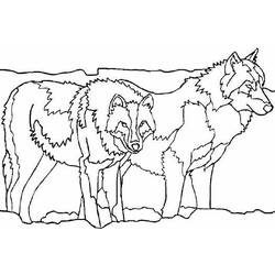 ぬりえページ: 狼 (動物) #10535 - 無料の印刷可能なぬりえページ