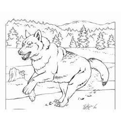 ぬりえページ: 狼 (動物) #10543 - 無料の印刷可能なぬりえページ