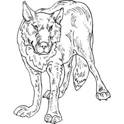ぬりえページ: 狼 (動物) #10547 - 無料の印刷可能なぬりえページ