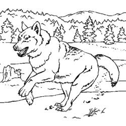 ぬりえページ: 狼 (動物) #10555 - 無料の印刷可能なぬりえページ