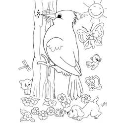 ぬりえページ: キツツキ (動物) #16677 - 無料の印刷可能なぬりえページ