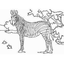ぬりえページ: シマウマ (動物) #12956 - 無料の印刷可能なぬりえページ