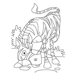 ぬりえページ: シマウマ (動物) #13024 - 無料の印刷可能なぬりえページ