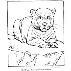 ぬりえページ: 動物園 (動物) #12733 - 無料の印刷可能なぬりえページ