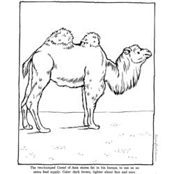 ぬりえページ: 動物園 (動物) #12750 - 無料の印刷可能なぬりえページ