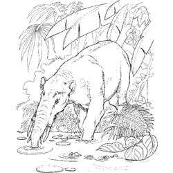ぬりえページ: 動物園 (動物) #12903 - 無料の印刷可能なぬりえページ