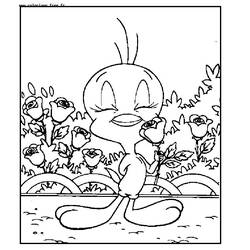 ぬりえページ: ルーニー・テューンズ (漫画) #39294 - 無料の印刷可能なぬりえページ
