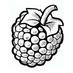 ぬりえ: ラズベリー - 無料の印刷可能なぬりえページ