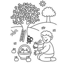 ぬりえページ: りんごの木 (自然と季節) #163445 - 無料の印刷可能なぬりえページ