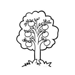 ぬりえページ: りんごの木 (自然と季節) #163492 - 無料の印刷可能なぬりえページ