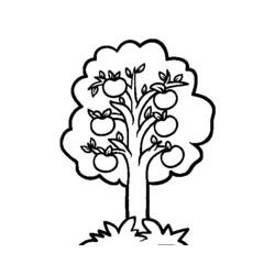 ぬりえページ: りんごの木 (自然と季節) #163751 - 無料の印刷可能なぬりえページ