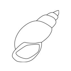 ぬりえページ: 貝殻 (自然と季節) #163153 - 無料の印刷可能なぬりえページ