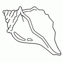 ぬりえページ: 貝殻 (自然と季節) #163159 - 無料の印刷可能なぬりえページ