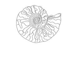 ぬりえページ: 貝殻 (自然と季節) #163204 - 無料の印刷可能なぬりえページ