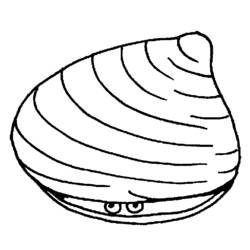 ぬりえページ: 貝殻 (自然と季節) #163207 - 無料の印刷可能なぬりえページ
