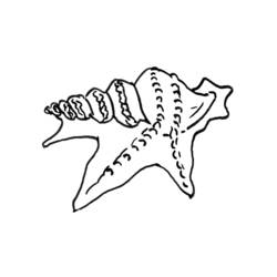 ぬりえページ: 貝殻 (自然と季節) #163216 - 無料の印刷可能なぬりえページ