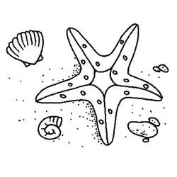 ぬりえページ: 貝殻 (自然と季節) #163326 - 無料の印刷可能なぬりえページ