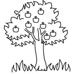 ぬりえページ: リンゴの木 (自然) #163457 - 無料の印刷可能なぬりえページ