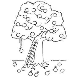 ぬりえページ: リンゴの木 (自然) #163662 - 無料の印刷可能なぬりえページ