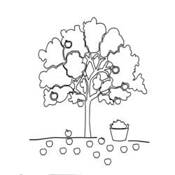 ぬりえページ: リンゴの木 (自然) #163752 - 無料の印刷可能なぬりえページ
