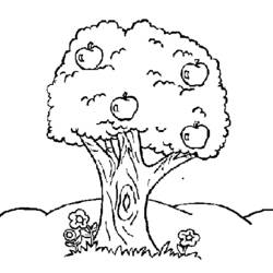 ぬりえページ: リンゴの木 (自然) #163757 - 無料の印刷可能なぬりえページ
