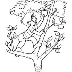 ぬりえページ: リンゴの木 (自然) #163768 - 無料の印刷可能なぬりえページ