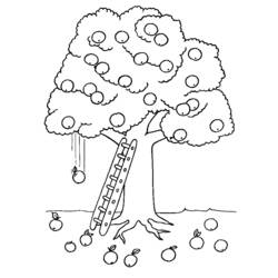 ぬりえページ: リンゴの木 (自然) #163771 - 無料の印刷可能なぬりえページ