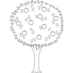 ぬりえページ: リンゴの木 (自然) #163789 - 無料の印刷可能なぬりえページ