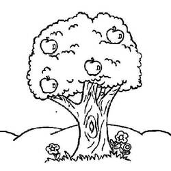 ぬりえページ: リンゴの木 (自然) #163794 - 無料の印刷可能なぬりえページ