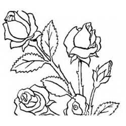 ぬりえページ: 花束 (自然) #160747 - 無料の印刷可能なぬりえページ