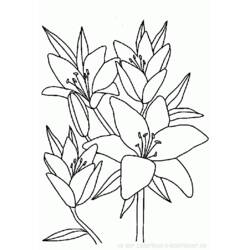 ぬりえページ: 花束 (自然) #160788 - 無料の印刷可能なぬりえページ