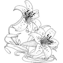 ぬりえページ: 花束 (自然) #160834 - 無料の印刷可能なぬりえページ