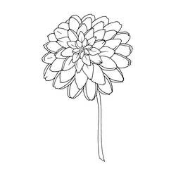 ぬりえページ: 花束 (自然) #160838 - 無料の印刷可能なぬりえページ