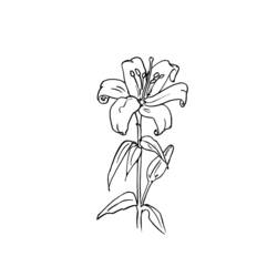 ぬりえページ: 花束 (自然) #160844 - 無料の印刷可能なぬりえページ