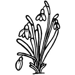 ぬりえページ: 花束 (自然) #160845 - 無料の印刷可能なぬりえページ
