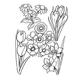 ぬりえページ: 花束 (自然) #160855 - 無料の印刷可能なぬりえページ