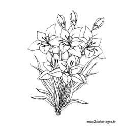 ぬりえページ: 花束 (自然) #160865 - 無料の印刷可能なぬりえページ