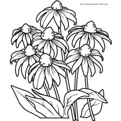 ぬりえページ: 花束 (自然) #160888 - 無料の印刷可能なぬりえページ